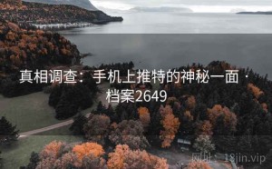 真相调查：手机上推特的神秘一面 · 档案2649