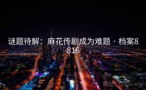 谜题待解：麻花传剧成为难题 · 档案8816