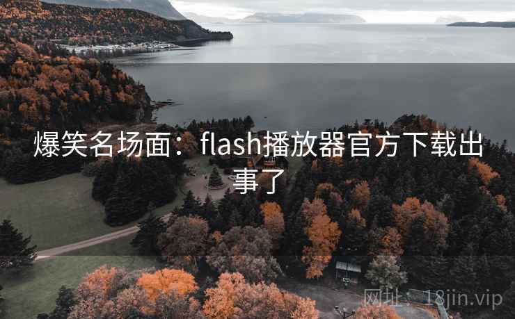 爆笑名场面：flash播放器官方下载出事了